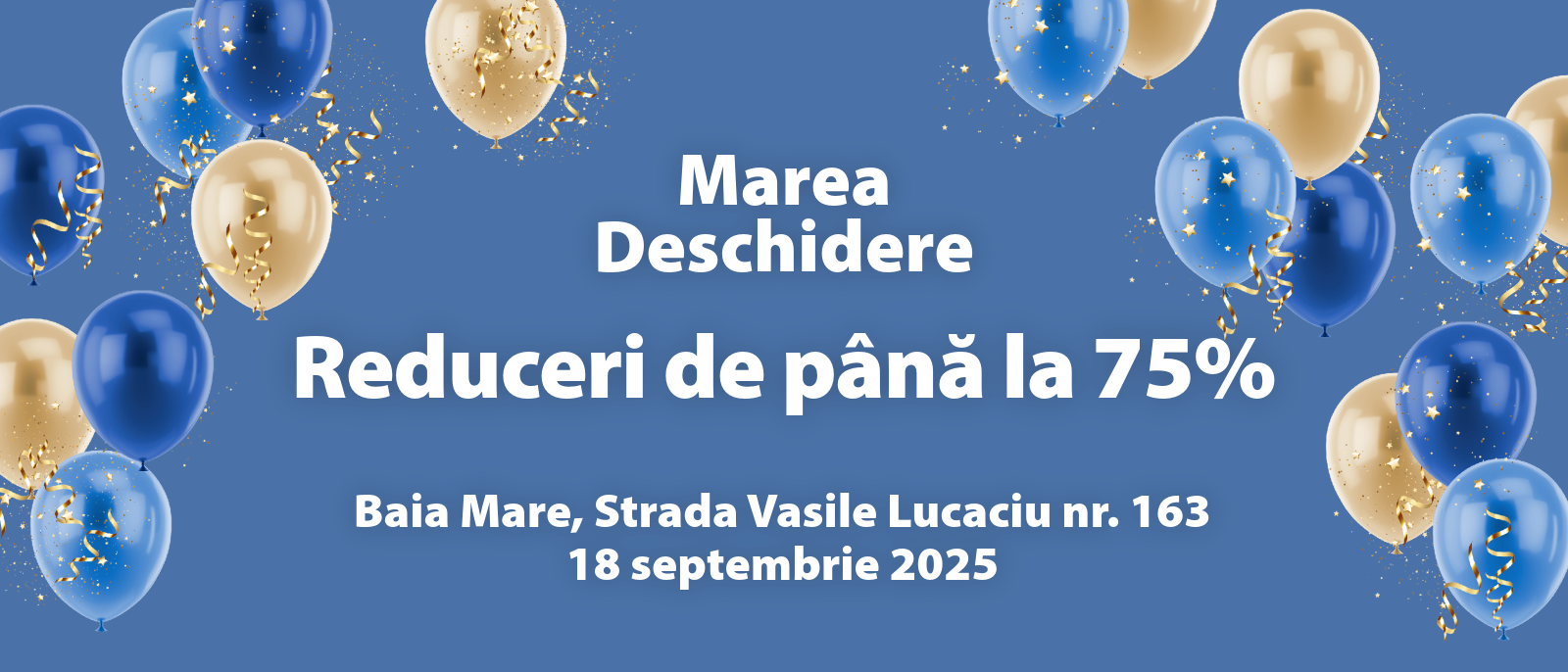 baia mare baia mare